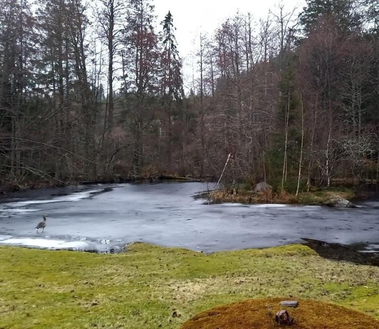 Gaeststuga I Vacker Natur, Bastu, Bubbelpool Sommartid Och Gratis Parkering Naera Ulricehamn Och Lassalyckan, Guesthouse With Nice View With Sauna And Free Parking Close To Dalsjoefors And Fishing 보라스 외부 사진